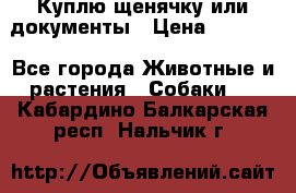 Куплю щенячку или документы › Цена ­ 3 000 - Все города Животные и растения » Собаки   . Кабардино-Балкарская респ.,Нальчик г.